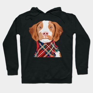 Brittany Spaniel Portrait Hoodie